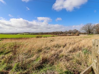 A field with grass and trees at No9 Budle Sands in Bamburgh