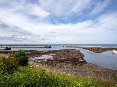 A coastal view with a harbor wall and boats on water with rocky shoreline and grass in foreground at Harbour Lights House in Seahouses