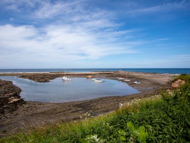 A small harbor with boats on water and grassy foreground at Harbour Lights House in Seahouses
