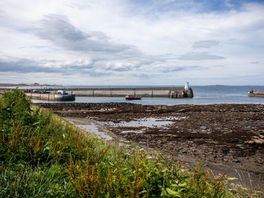 A harbor with a concrete pier and boats near a rocky shoreline with grass in the foreground at Harbour Lights House in Seahouses