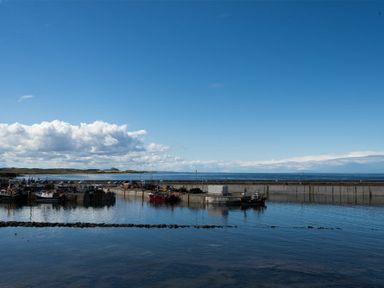 A harbor with fishing boats docked by a concrete pier under a blue sky at Lobster Lodge in Seahouses