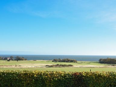 A view of a grassy field with trees and a hedge in the foreground overlooking the sea at Rock Lodge in Alnmouth