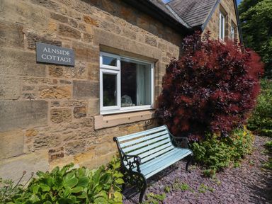 A stone cottage wall with a window and a blue bench beside purple foliage at Alnside Cottage in Alnmouth