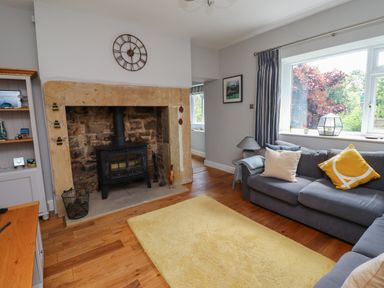 A living room with a stone fireplace and wood stove a sofa with cushions and a yellow rug at Alnside Cottage Alnmouth