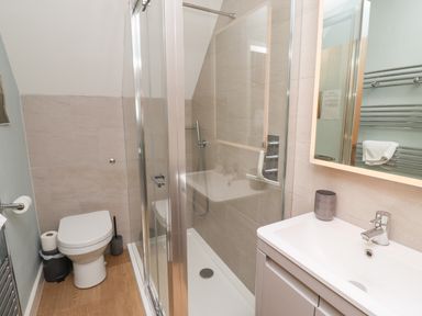 A bathroom with a toilet a shower enclosure and a sink with a mirror at Alnside Cottage in Alnmouth