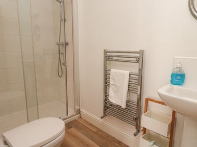 A bathroom with a shower enclosure a toilet a towel rack with a towel and a sink with hand soap at Riverside Lodge in Alnmouth
