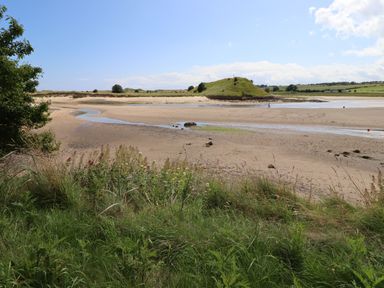 A sandy beach with a winding stream grass and bushes in the foreground and a grassy hill in the background at Riverside Lodge in Alnmouth