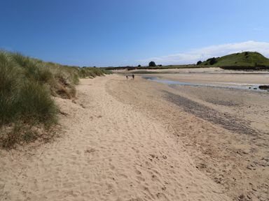 A sandy beach with grassy dunes on the side and two people walking in the distance at Riverside Lodge in Alnmouth