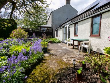 An outdoor garden area with purple flowers and green plants beside a white building with windows and plastic chairs at Swallows Cottage nr Warkworth in Acklington