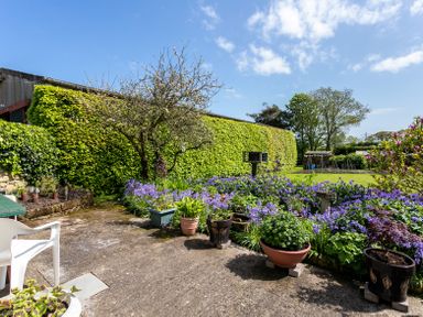 A garden with potted plants and flowers next to a hedge and a tree at Swallows Cottage nr Warkworth in Acklington