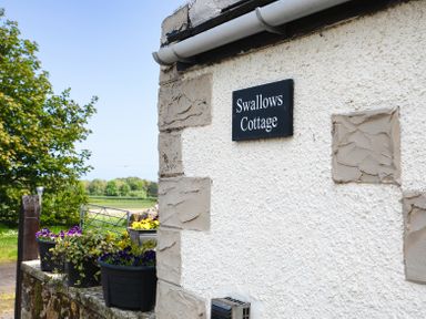 Exterior wall of a cottage with a sign that reads Swallows Cottage and flower pots on a stone ledge in a rural setting at Swallows Cottage nr Warkworth in Acklington