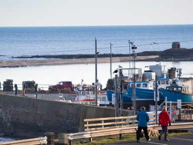 A harbor with fishing boats and people walking dogs near the water at Portside in Seahouses