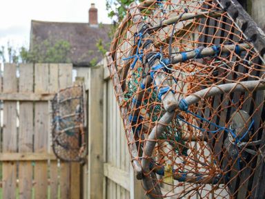 Fishing traps hanging on a wooden fence outdoors near a house at Anchor Lodge in Seahouses