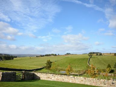 A grassy field with stone walls and trees under a blue sky at The Lodge (Elsdon) in Elsdon