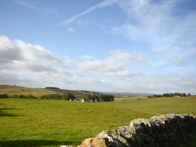 A green field with a stone wall in the foreground and houses and trees in the distance at Rose Cottage Elsdon