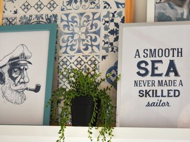 A plant in a black pot between two framed pictures on a shelf with blue and white patterned tiles behind them at Bowline Cottage in Beadnell