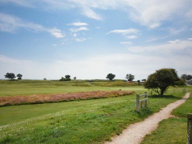 A grassy field with a dirt path a wooden fence and scattered trees at Mariners House in Alnmouth