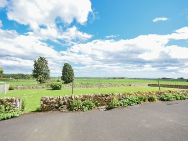 A garden with grass trees and stone walls bordering a driveway at Farne View Cottage in Seahouses