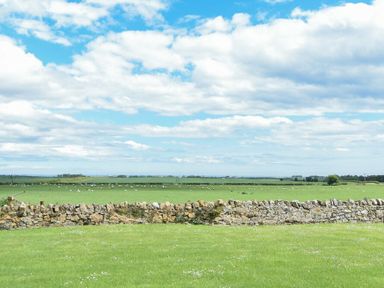 A field with green grass and a stone wall under a cloudy sky at Farne View Cottage in Seahouses
