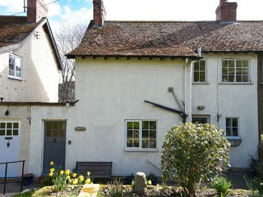 The front of a terraced house with a garden featuring daffodils and a bush at Castle View Warkworth