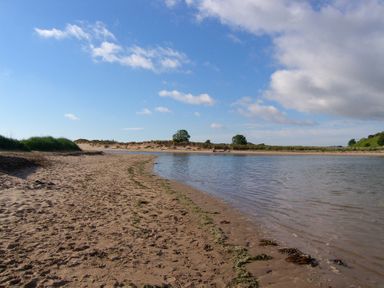 A sandy beach with water and trees at Percy Cottages No4 in Alnmouth