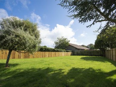 A backyard with grass trees and wooden fences with a house in the background at Marmalade Cottage in Seahouses