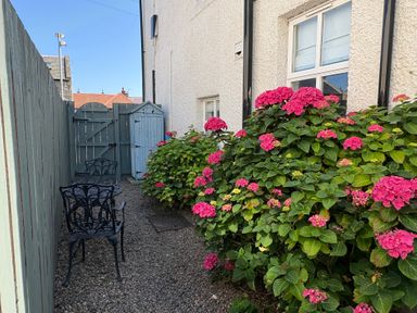 A garden with flowers and seating at Anchor Cottage (Seahouses) in Seahouses