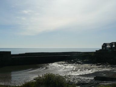 A coastal scene with a rocky shoreline and buildings near the water at Cargoes in Craster