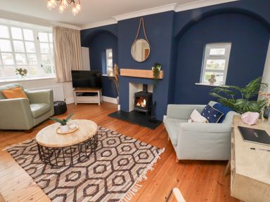 A living room with two armchairs a coffee table a patterned rug a television and a fireplace at Rosedale Lodge in Alnmouth