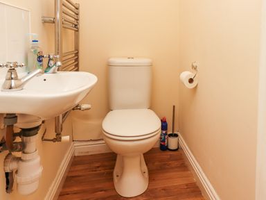 A small bathroom with a white toilet a sink wall-mounted towel heater and toilet paper holder at Stewart House in Wooler