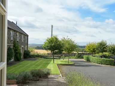 A garden with small trees, shrubs, and a stone house with windows at The Warren in Bamburgh