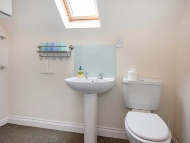 A bathroom with a sink and toilet under a skylight at The Old Concert Room in Alnmouth