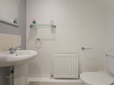 A bathroom with a sink, toilet, radiator, glass shelf with soap, and toilet paper at Coastal View in Seahouses