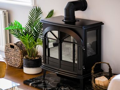 A black wood stove on a black marble hearth next to a potted plant and baskets at Polished Pebble in Beadnell