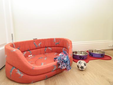 A pet bed with a toy next to two feeding bowls on a wooden floor at Creel Cottage Blackwood Street in Amble