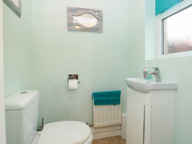 A small bathroom with a toilet a sink a teal towel on a radiator and a fish shaped mirror on the wall at Creel Cottage Blackwood Street in Amble