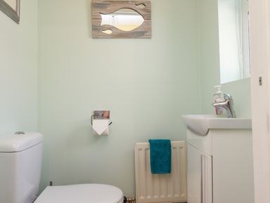 A bathroom with a toilet a sink with soap a radiator with a blue towel and a fish shaped mirror at Creel Cottage Blackwood Street Amble