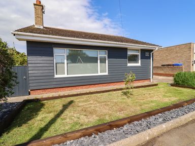 A single-story house with blue siding a window and a small garden with grass and plants at Willow in Beadnell