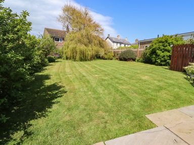 A garden with a lawn surrounded by trees bushes and houses in the background at Willow in Beadnell