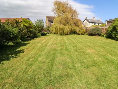A garden with a lawn a tree and bushes with houses in the background at Willow in Beadnell