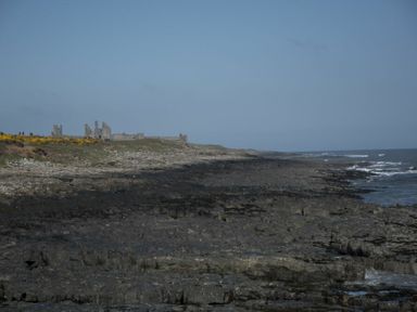 A rocky coastline with ruins and yellow flowers at Creel Cottage Craster