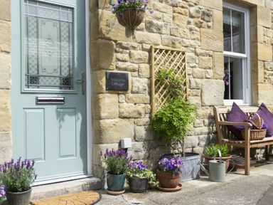 The exterior of a stone cottage with a blue door potted plants a wooden bench with purple cushions and a watering can at Wisteria Cottage in Warkworth