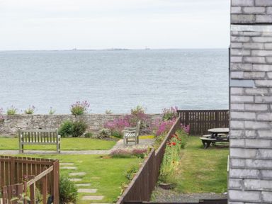 A garden with benches and flowers overlooking the sea at Puffin View in Seahouses