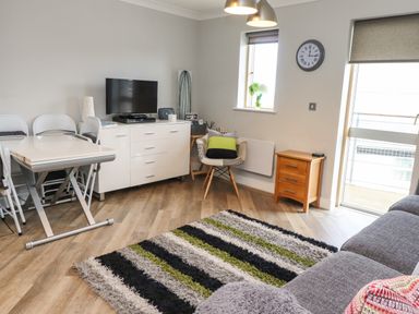 A living room with a gray sofa striped rug and a TV on a white cabinet at Puffin View in Seahouses