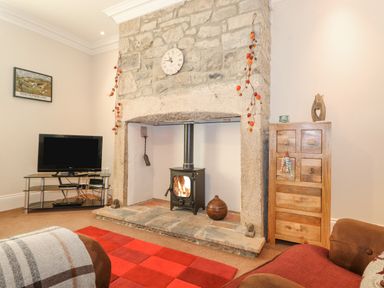 A living room with a stone fireplace and wood stove a television on a metal stand and a wooden chest of drawers at Willow Cottage in Lesbury