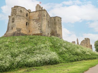 A stone castle on a grassy hill with white flowers and a pathway under a blue sky