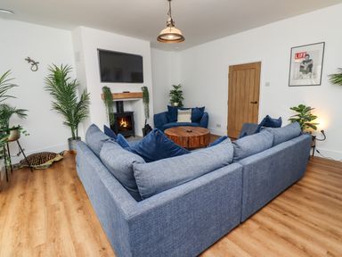 A living room with blue sofas a round wooden coffee table plants on the floor and a television above a fireplace at Muscle Shoals in Seahouses