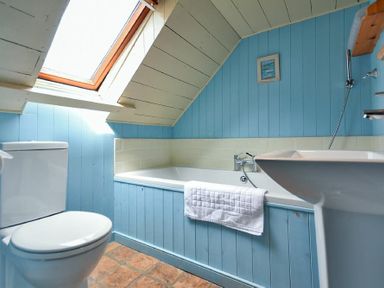 A bathroom with a toilet bathtub sink skylight and blue paneled walls at Sandpiper Cottage Low Newton-by-the-Sea