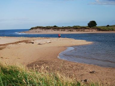 A sandy coastline with water and grassy dunes at The Boathouse (Alnmouth) in Alnmouth