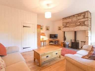 A living room with two sofas a wooden coffee table a stone fireplace a television and a lamp at Dunlin Cottage in Bamburgh